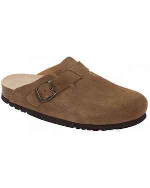 Scholl Mules - Brown