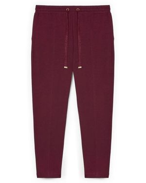 FIORELLA RUBINO Broeken ,Rood ,Katoen Katoenen Joggingbroek - Paars