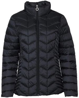 Danwear Winter Jackets - Negro