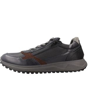 Igi&co Sneakers - Negro