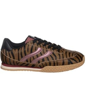 Gioseppo Sneakers - Marron
