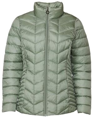 Danwear Winter Jackets - Green