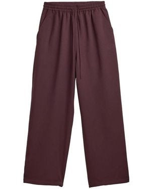 Y-3 Joggers - Purple