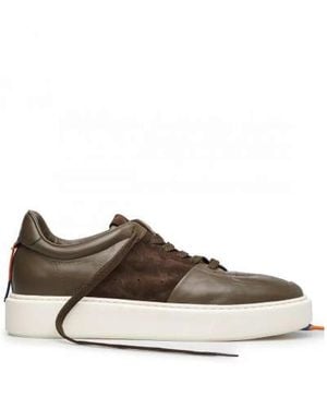 Barracuda Trainers - Brown
