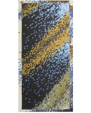 Desigual Silky Scarves - Bleu