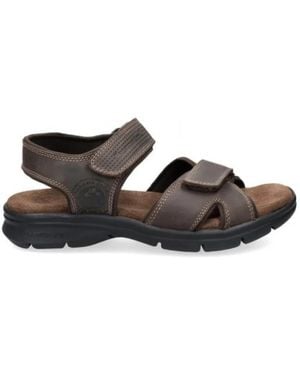 Panama Jack Flat Sandals - Bruin