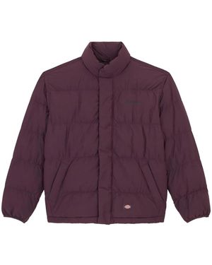 Dickies Winter Jackets - Purple