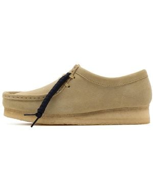Clarks Laced Shoes - Brown