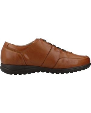 Pitillos Scarpe business elastiche - Marrone