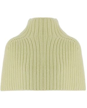 Sa Su Phi Cashmere Knitwear - Verde