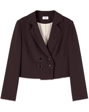 Oltre Blazers - Viola