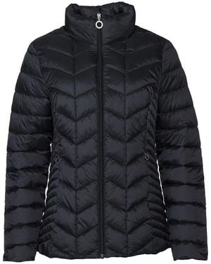Danwear Winter Jackets - Black