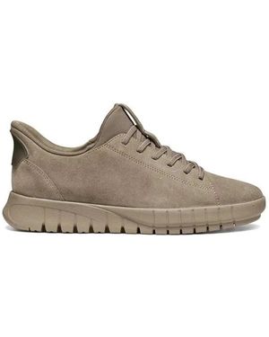 Geox Sneakers - Gris