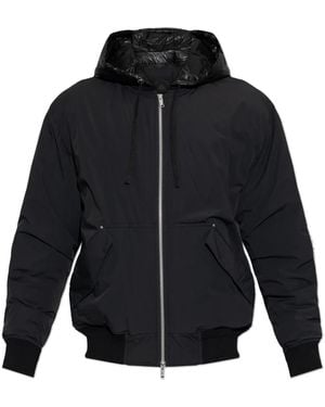 Moose Knuckles Down Jackets - Bleu