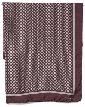 Tagliatore Silky Scarves - Morado
