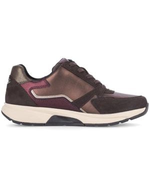 Gabor Sneakers - Marron