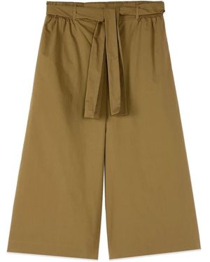 Oltre Cropped Trousers - Verde