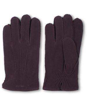 Howard London Gloves - Paars