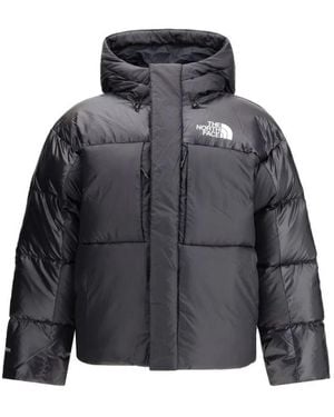 The North Face Winter Jackets - Grijs