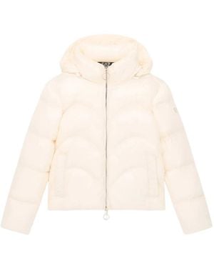 EA7 Winter Jackets - Neutro