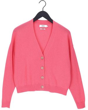 Not Shy Truien & Vesten ,Roze ,Kasjmier Juana Vest