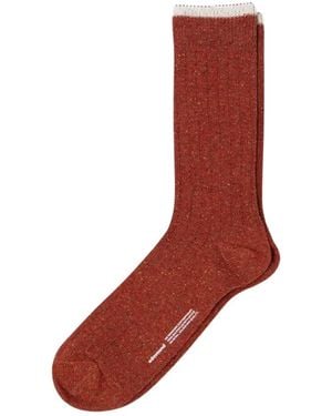 Edmmond Studios Underwear & Socks - Marrón
