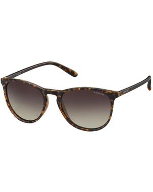 Polaroid Sunglasses - Brown