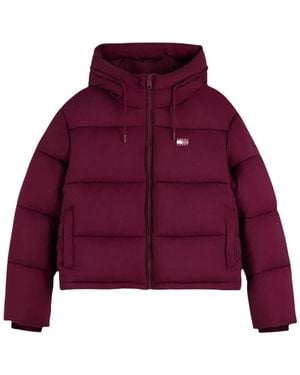 Tommy Hilfiger Winter Jackets - Viola