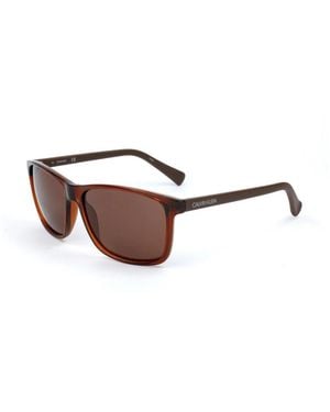 Calvin Klein Sunglasses - Marron