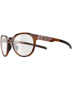 adidas Glasses - Brown