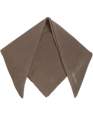 Max Mara Winter Scarves - Marron