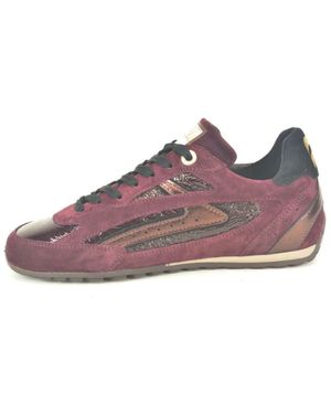 Floris Van Bommel Schoenen ,Veelkleurig ,Bordo +Lace Fijn Sneaker N - Paars
