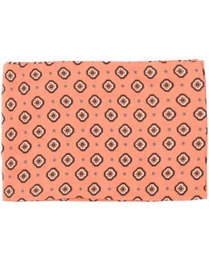 Alberto Biani Silky Scarves - Pink