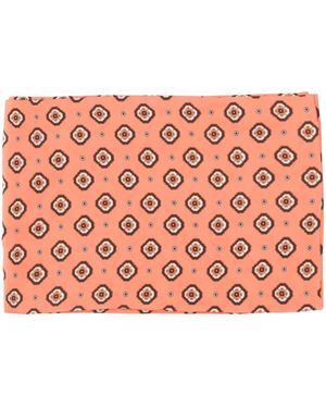 Alberto Biani Silky scarves - Pink