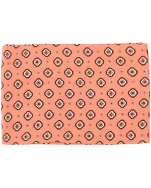 Alberto Biani Silky scarves - Pink