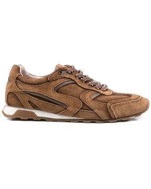 Ash Sneakers - Braun