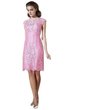 Moskada Kleedjes ,Roze ,Elegant Kort Chantilly Kant Jurkje