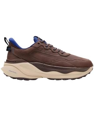 Clarks Sneakers - Marron