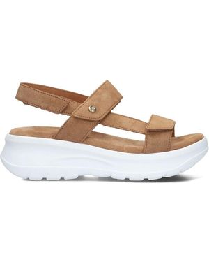 Panama Jack Kamel Sandalen Noor B5 - Braun