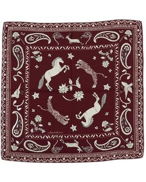 Alberto Biani Scarves - Morado