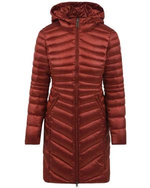 Bomboogie Jassen ,Bruin ,Leer Stijlvolle Bordeauxrode Damesjas Cw 3896 - Rood