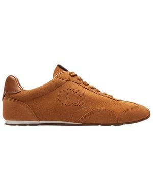 COACH Sneakers - Marrone