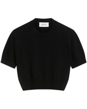 Sportmax Round-Neck Knitwear - Black