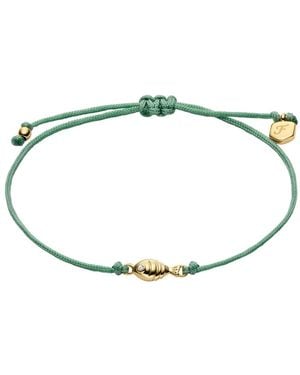 Fossil Bracelets - Azul