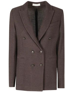 Circolo 1901 Jassen ,Bruin ,Blazers