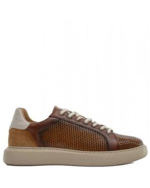 Ambitious Trainers - Brown