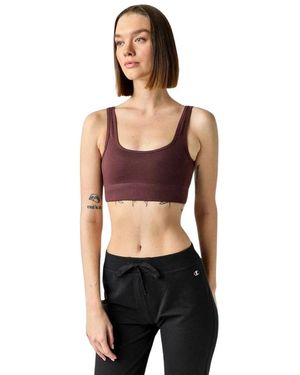 Champion Sport Bras - Negro