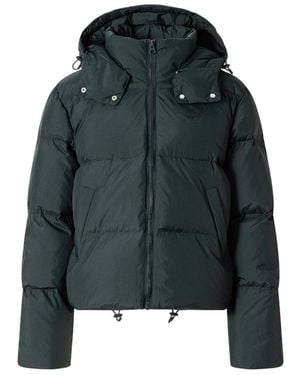 Lacoste Jassen ,Groen ,Donsjack