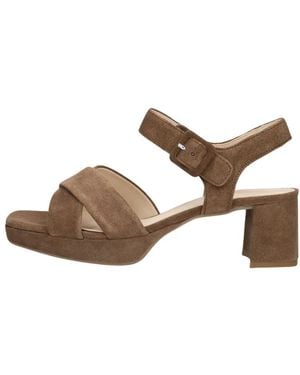 Gabor Schoenen ,Bruin ,953 Sandalen
