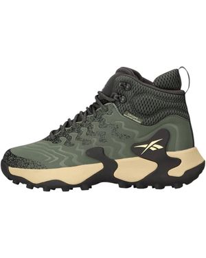 Reebok Grüne Dmx Laufschuhe